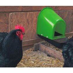 Cuibar pentru gaini cu colector de oua Demetra ECO Thumb