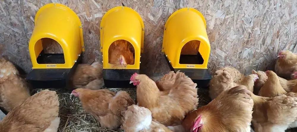 Set cuibare pentru gaini cu colector de oua Demetra ECO - 7