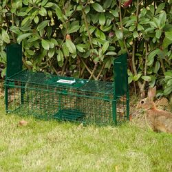 Клетка-ловушка Outsunny AB0-017 (Dark Green) Thumb