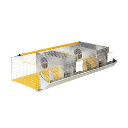 Cusca pentru iepuri Rocila 416/1 (Silver/Yellow)