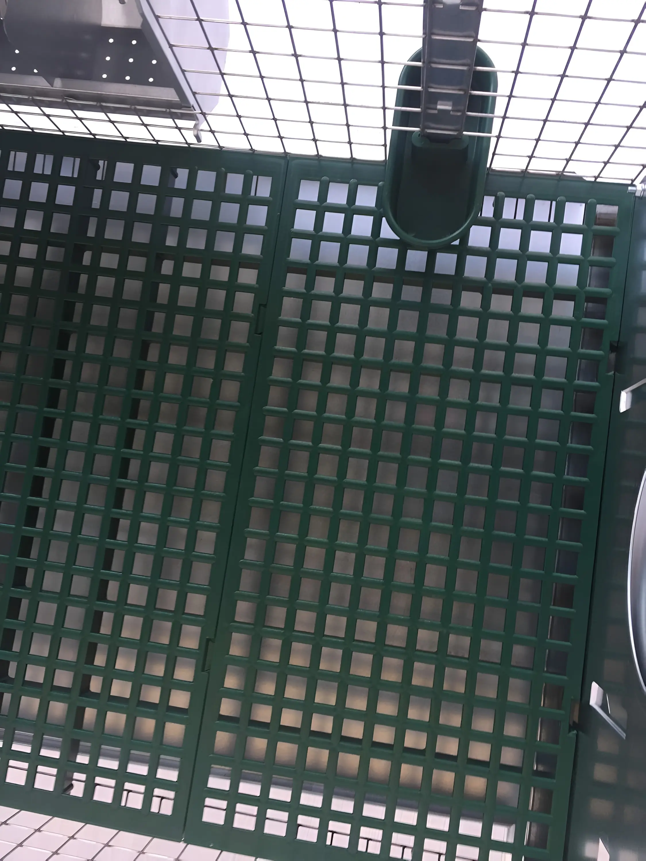 Cusca pentru iepuri Rocila Eko 200003 (SIlver/Green)