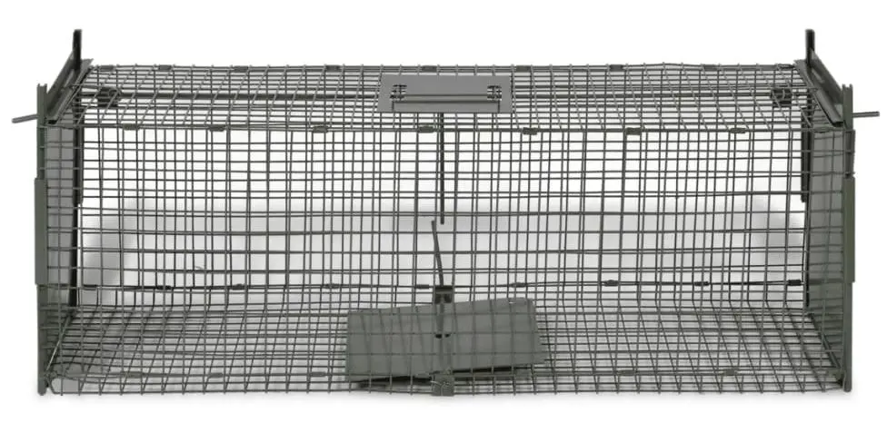 Cusca capcana vidaXL 170073 (Khaki)