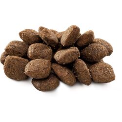 Корм для кошек Brit Premium Sensitive Lamb (8кг) Thumb