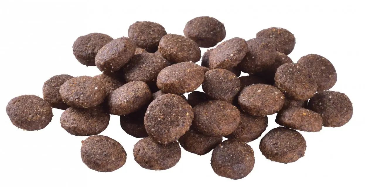 Hrana pentru caini Brit Care Skin & Coat Salmon (12kg)