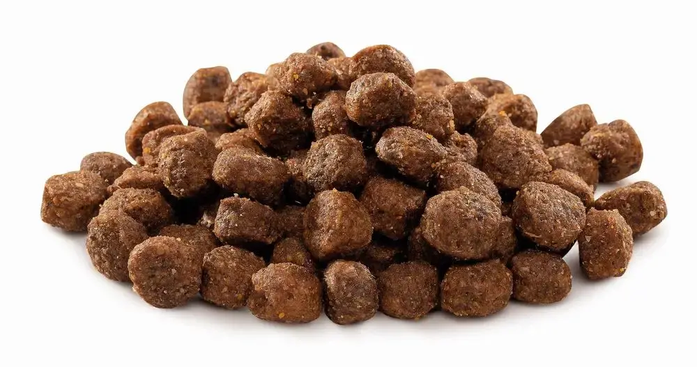 Hrana pentru caini Brit Premium Adult S (8kg)