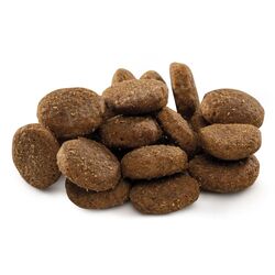 Корм для собак Brit Premium Junior XL Chicken (15кг) Thumb