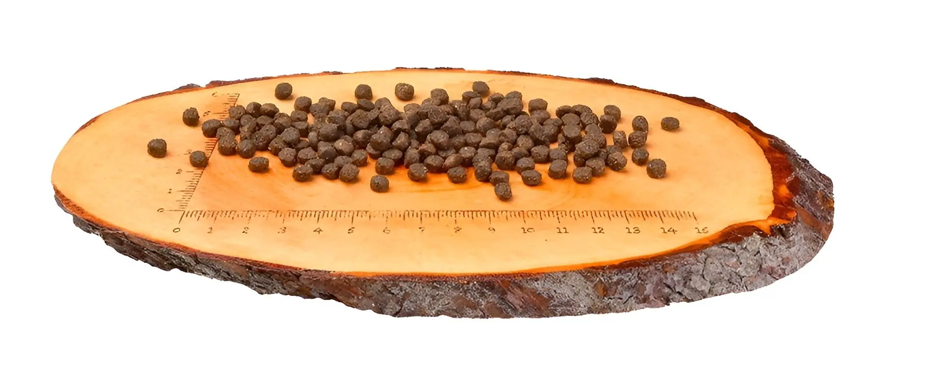 Корм для кошек Carnilove Healthy Growth Salmon & Turkey (6кг)