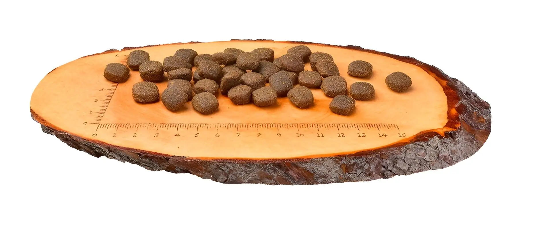 Корм для собак Carnilove Lamb & Wild Boar (12кг)