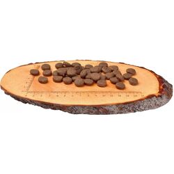 Hrana pentru caini Carnilove Salmon & Turkey (12kg) Thumb