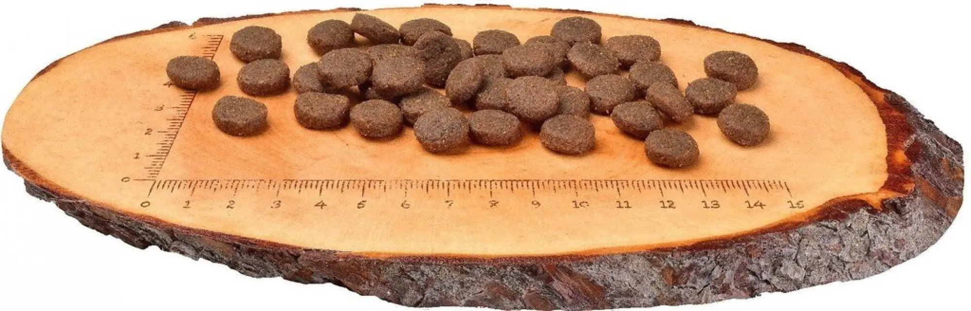 Hrana pentru caini Carnilove Salmon & Turkey (12kg)