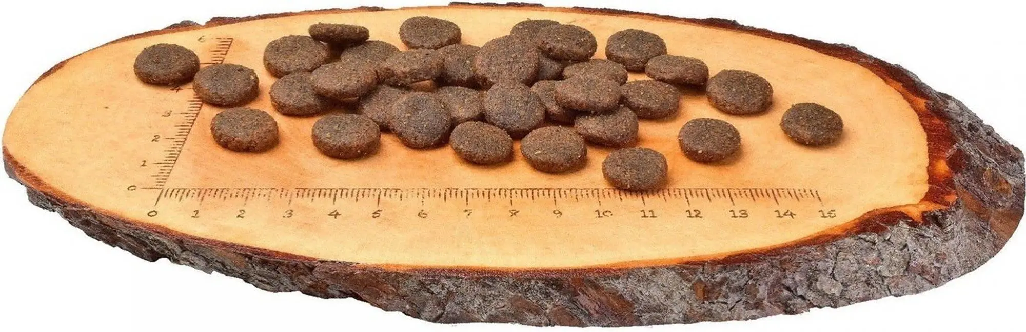 Корм для собак Carnilove Salmon & Turkey (12кг)