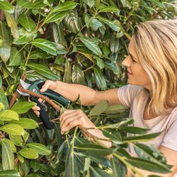 Foarfece de gradina cu acumulator Bosch Easy Prune (Black/Green) Thumb