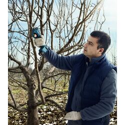 Secator cu acumulator Bosch Professional Pro Pruner Thumb