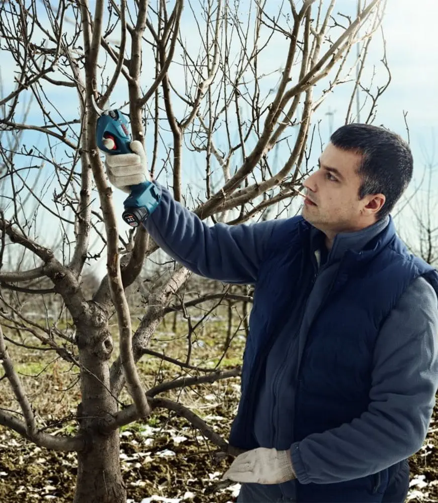 Secator cu acumulator Bosch Professional Pro Pruner