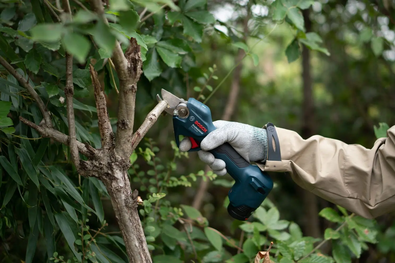 Secator cu acumulator Bosch Professional Pro Pruner (Solo)