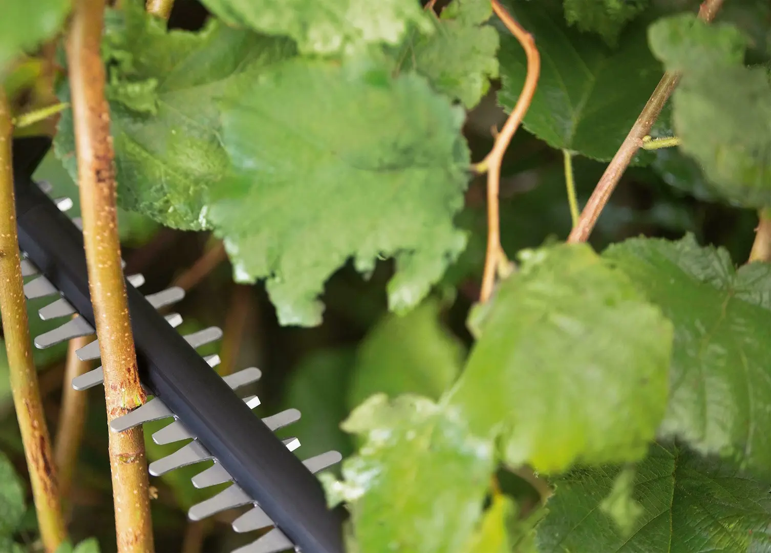 Аккумуляторный кусторез Bosch UniversalHedgeCut 18V-50 (0600849K00)