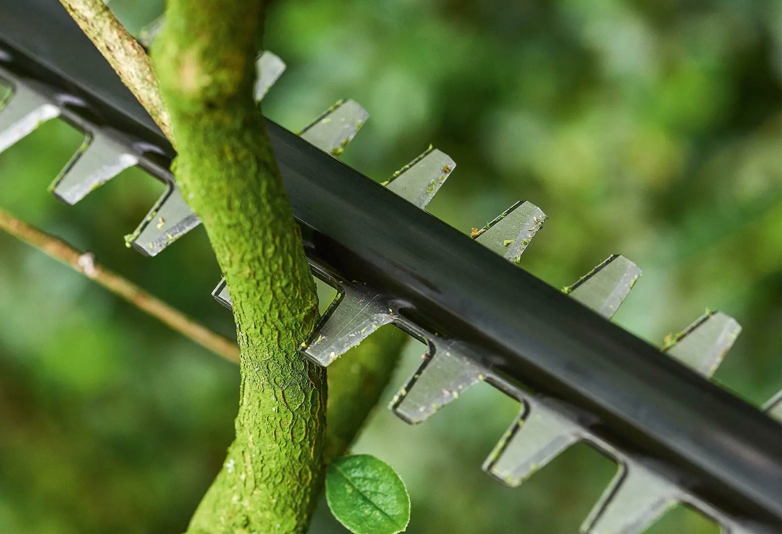 Foarfece de taiat gard viu cu acumulator Bosch UniversalHedgePole 18 (06008B3001) - 2