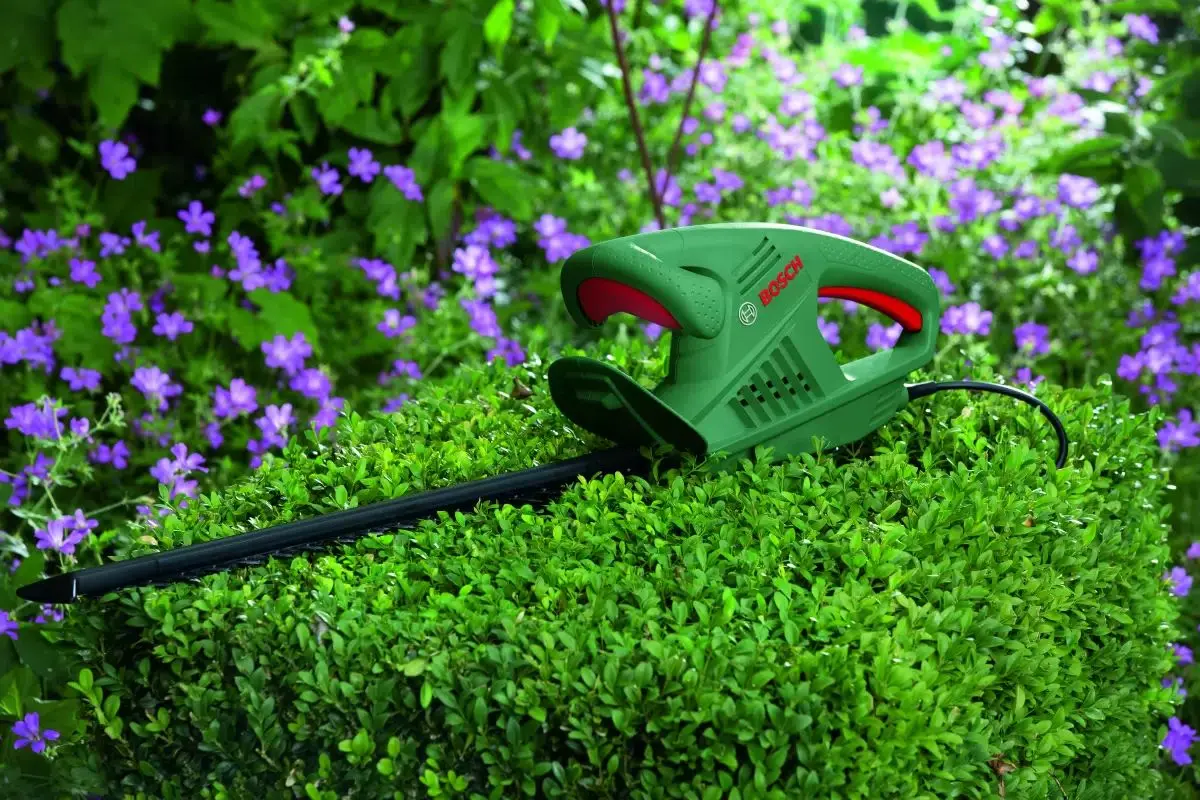Foarfeca electrica de tuns gard viu Bosch EasyHedgeCut 55 - 3
