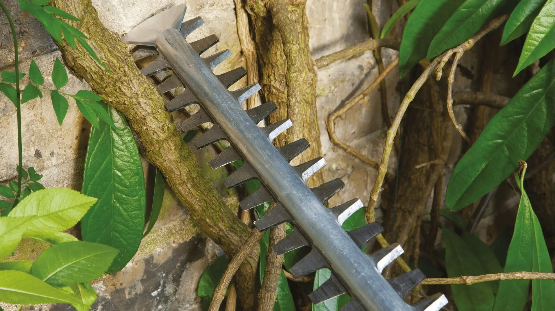 Foarfeca electrica de tuns gard viu Bosch Universal Hedge Cut 60 - 4