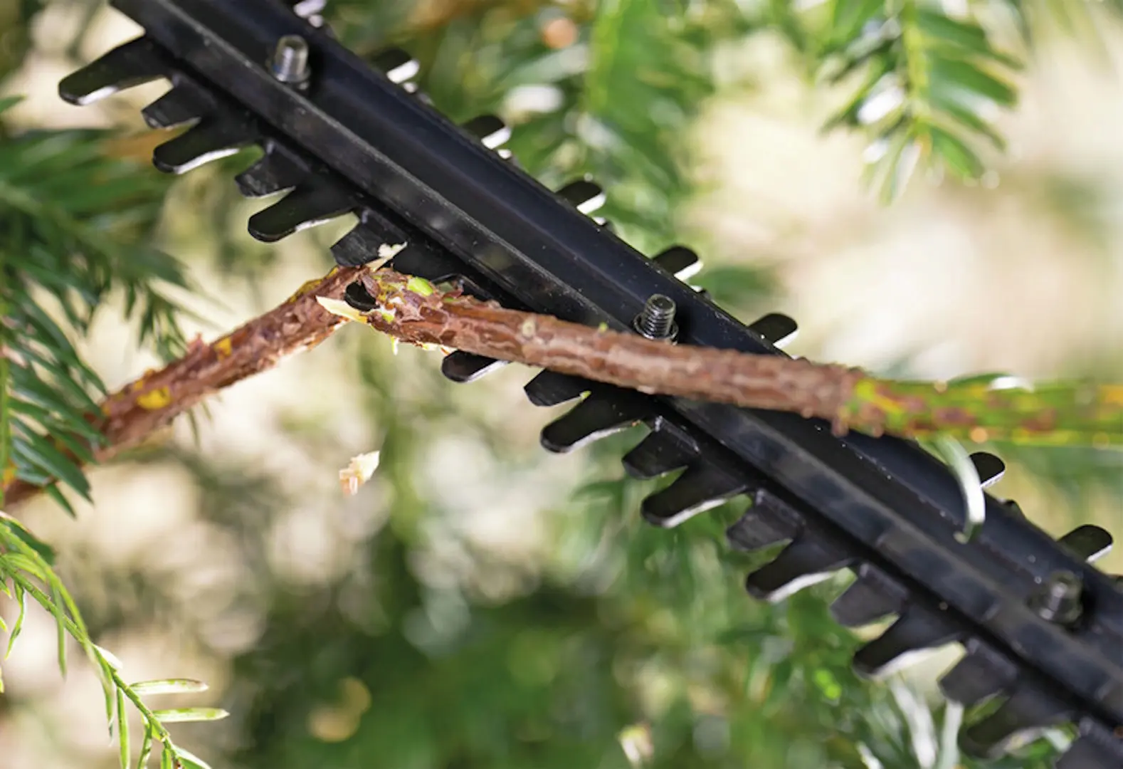 Foarfece de taiat gard viu cu acumulator Bosch EasyHedgeCut 18V-44-11 (0600849H06) - 2