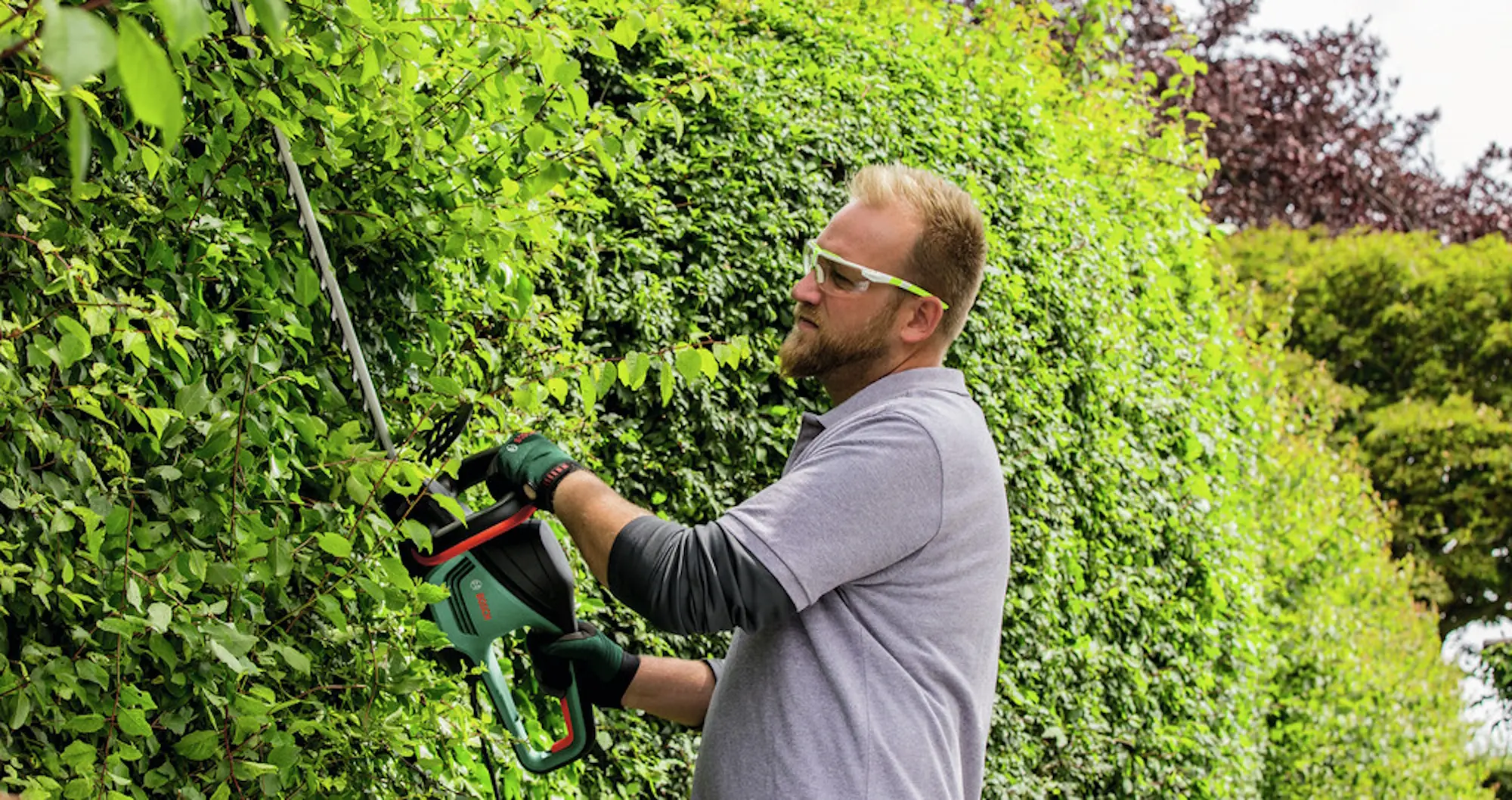 Foarfece de taiat gard viu cu acumulator Bosch EasyHedgeCut 18V-44-11 (0600849H06) - 3