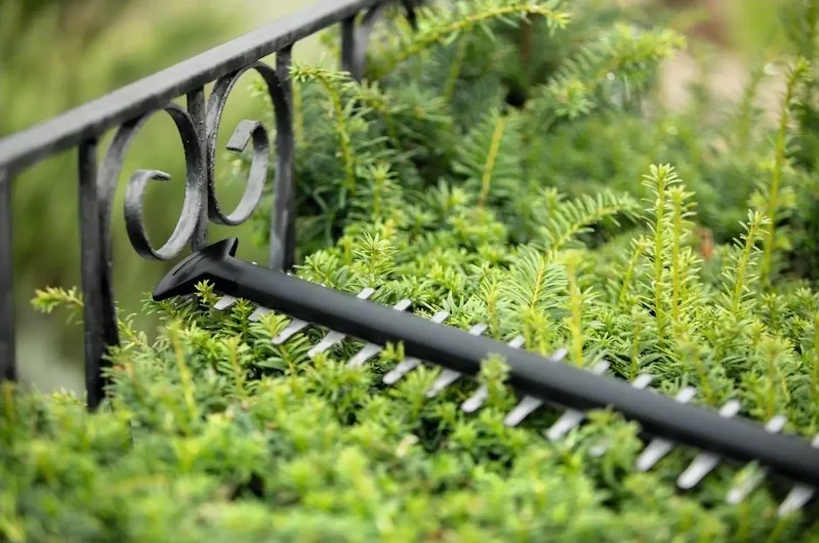 Кусторез аккумуляторный Bosch UniversalHedgeCut 18V-55 (0600849J01)