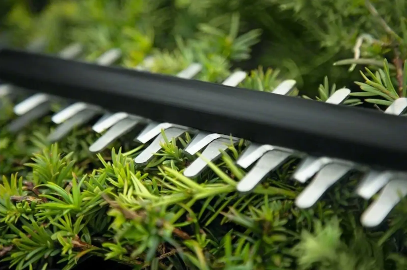 Кусторез аккумуляторный Bosch UniversalHedgeCut 18V-55 (0600849J01)