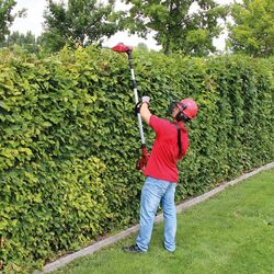 Аккумуляторный высоторез-кусторез Einhell GE-HC 18 Li T- Solo Thumb