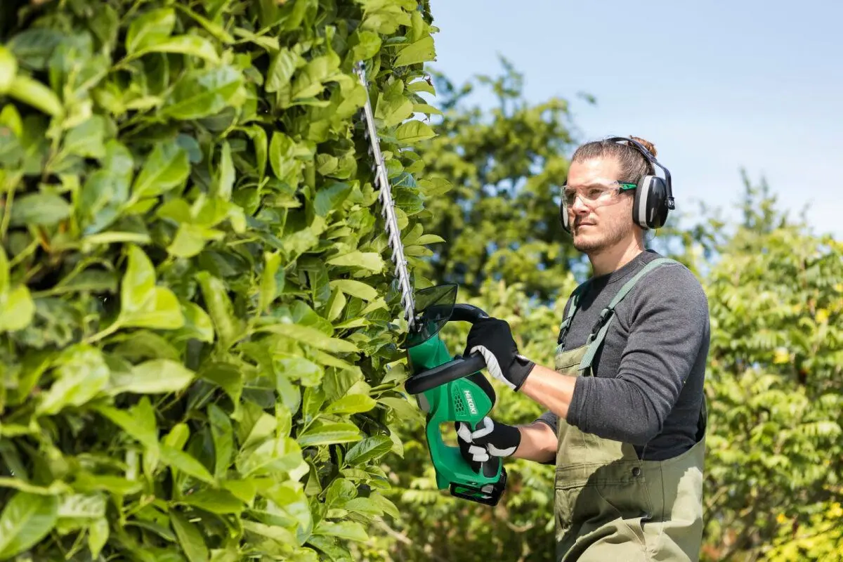 Аккумуляторный кусторез Hikoki CH3656DAW4Z Solo