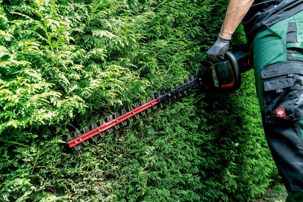 Аккумуляторный кусторез Metabo HS 18 LTX BL 65 (Green/Red) - 2