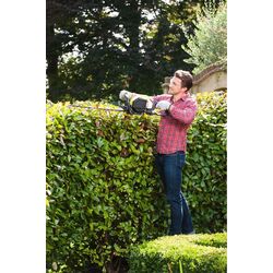 Fierastrau de taiat gard viu pe benzina Ryobi RHT25X55R Thumb