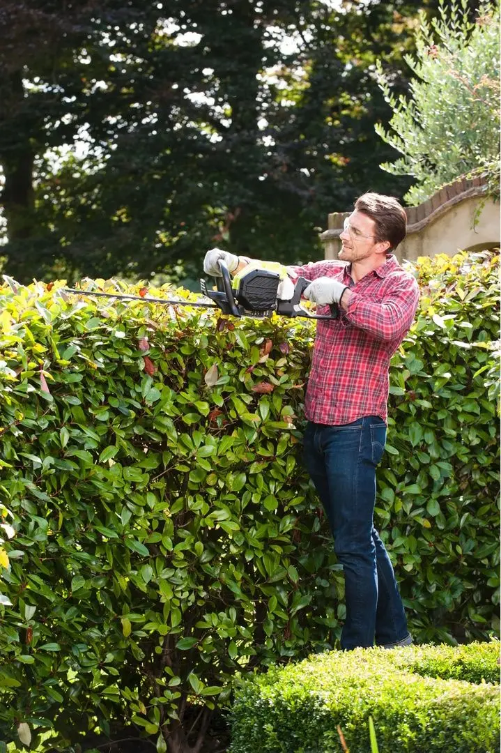 Fierastrau de taiat gard viu pe benzina Ryobi RHT25X55R