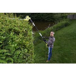 Foarfece de taiat gard viu Ryobi RPT4545E Thumb
