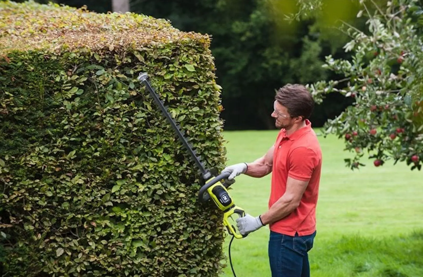 Foarfece de taiat gard viu Ryobi RHT6160RS - 2