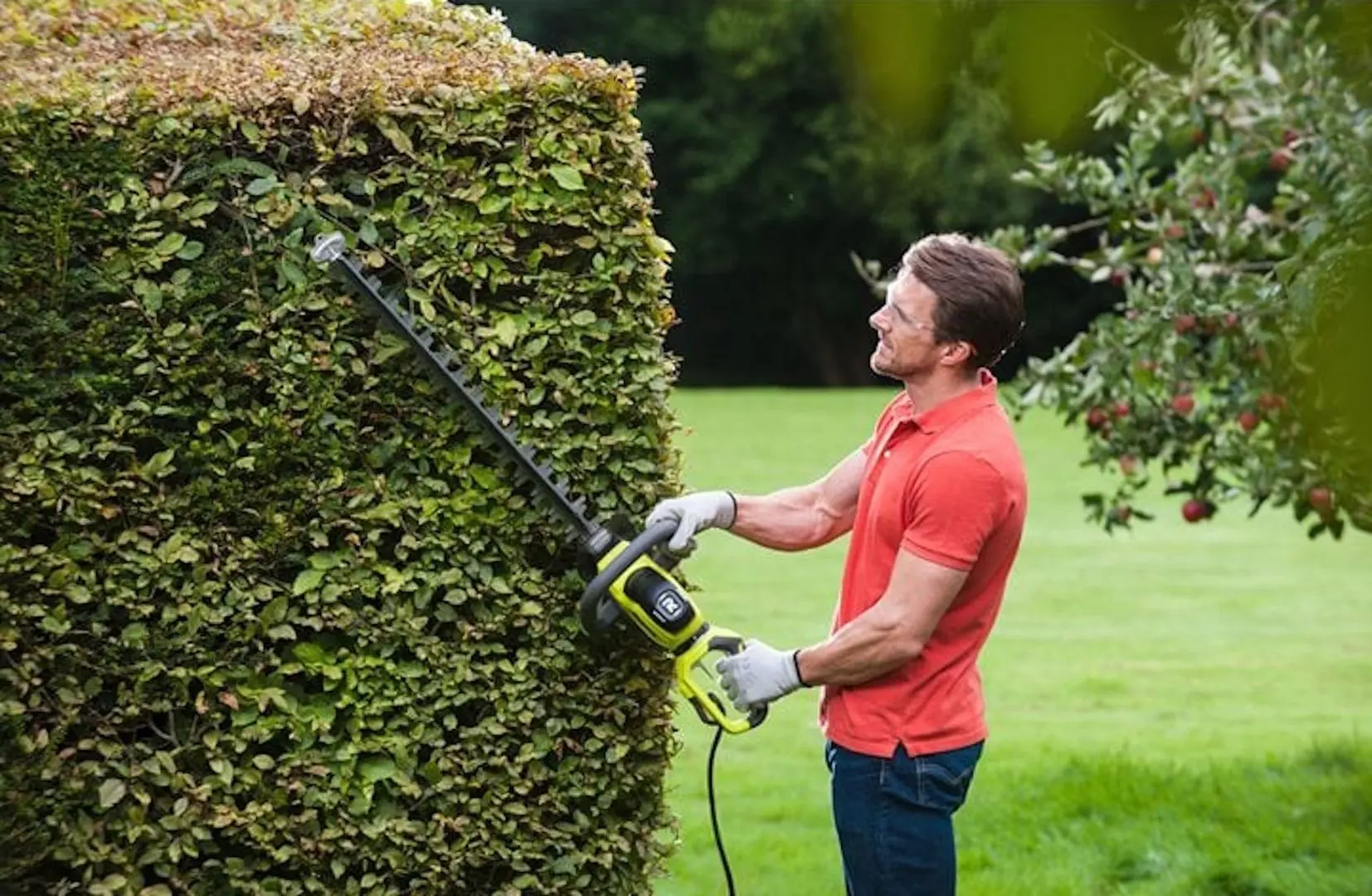 Foarfece de taiat gard viu Ryobi RHT6160RS - 3