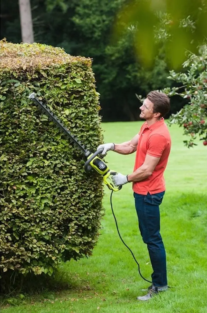 Foarfece de taiat gard viu Ryobi RHT6160RS - 4