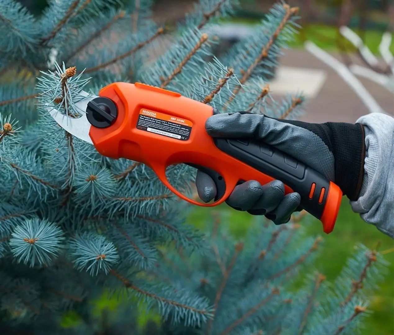 Секатор аккумуляторный Sequoia SBP3610C