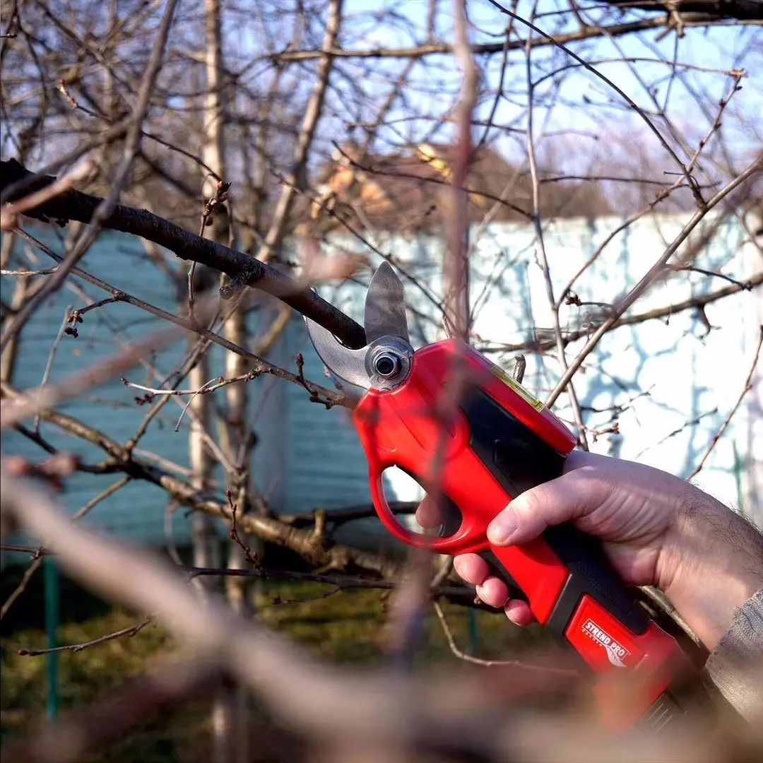 Foarfece de gradina cu acumulator Strend Pro 111216 (Black/Red)