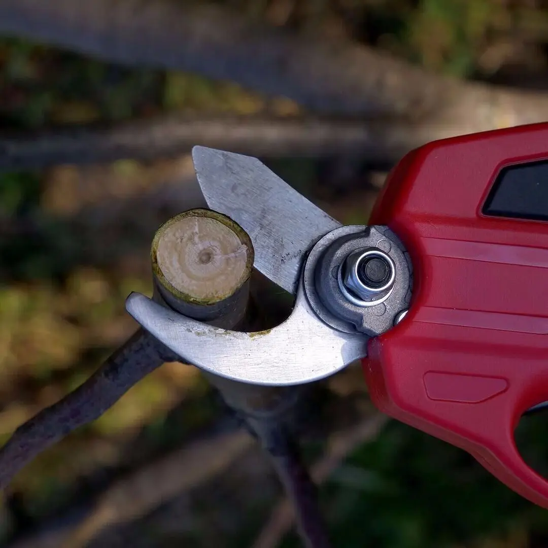 Аккумуляторные садовые ножницы Strend Pro 111250 Set - 4