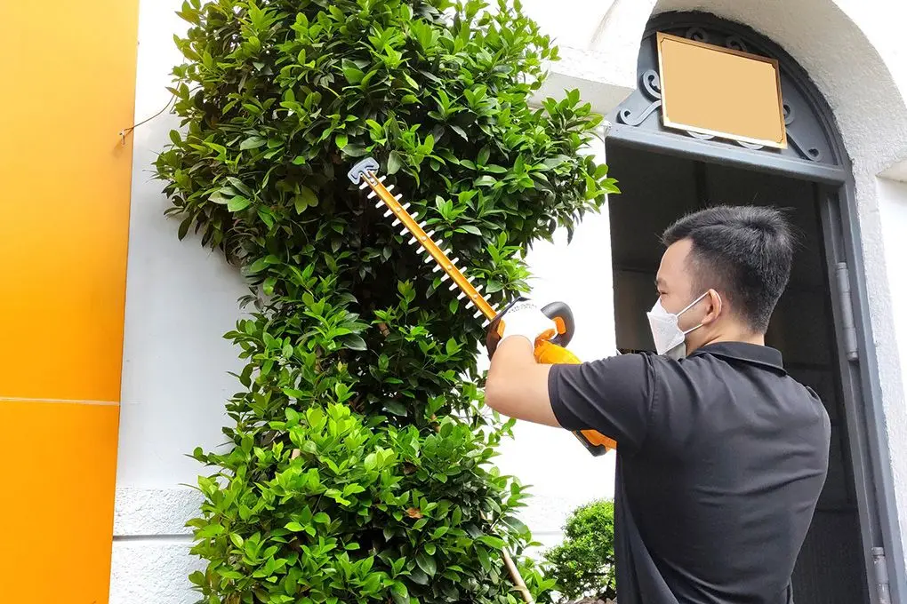 Аккумуляторный кусторез Tolsen 87370 Solo