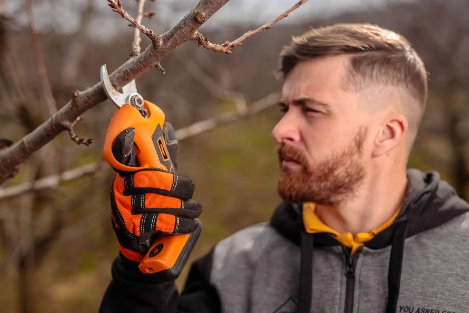 Foarfece de gradina cu acumulator Villager VBP 7.0