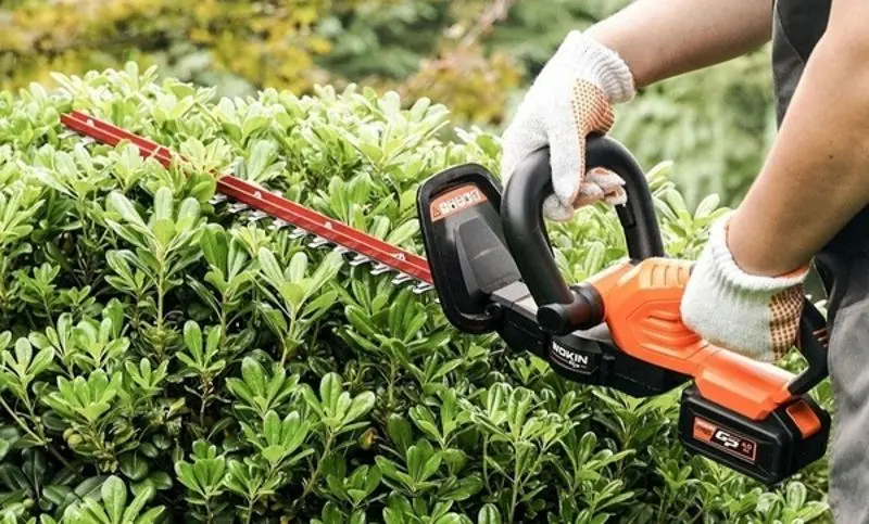 Электрический кусторез Wokin 624110 - 2