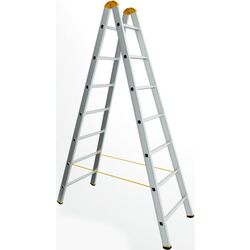 Двухсекционная лестница Alve Forte 251092