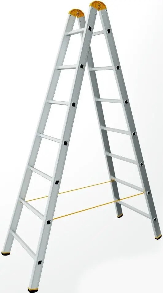 Двухсекционная лестница Alve Forte 251337