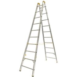 Scara din aluminiu dubla Alve Profi Plus 8910 2x10 (Silver)