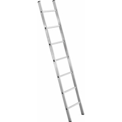 Лестница алюминиевая односторонняя Evotools 255 1x9 Thumb