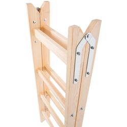 Двухсекционная лестница Strend Pro 251416 Thumb