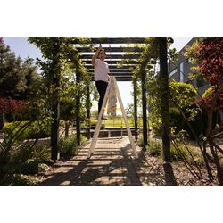 Двухсекционная лестница Strend Pro 251418 (Natural) Thumb