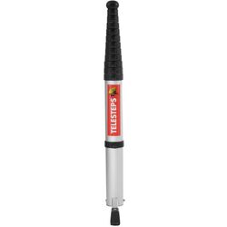 Scara telescopica Telesteps Eco Line 3.8m Thumb