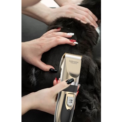Masina de tuns animale de companie Goldmaster PATI GM-8182 (Black/Gold) Thumb